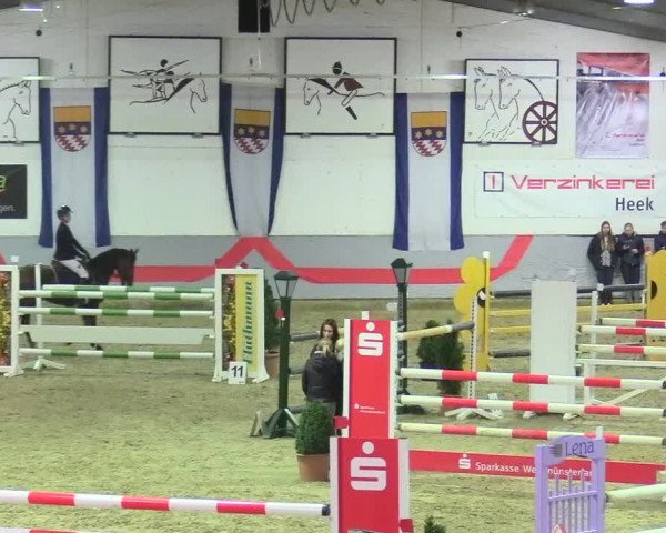 20. Legdener Ponymeeting 2017