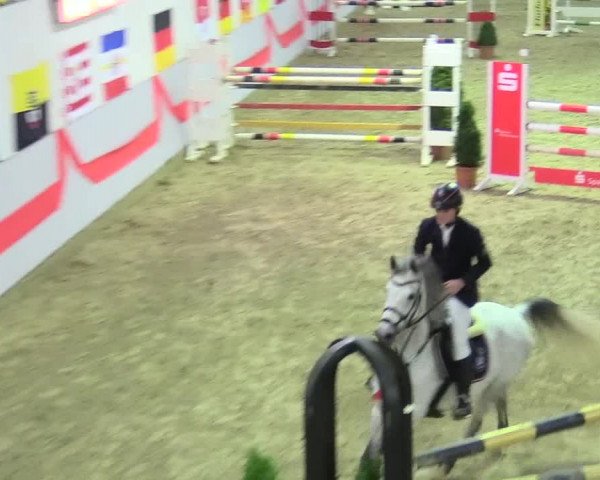 20. Legdener Ponymeeting 2017