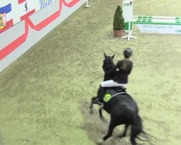 20. Legdener Ponymeeting 2017