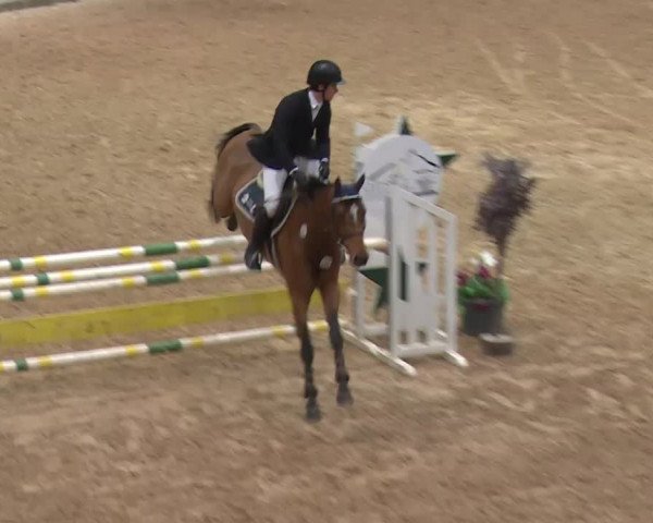 Reitturnier Kreuth 2017
