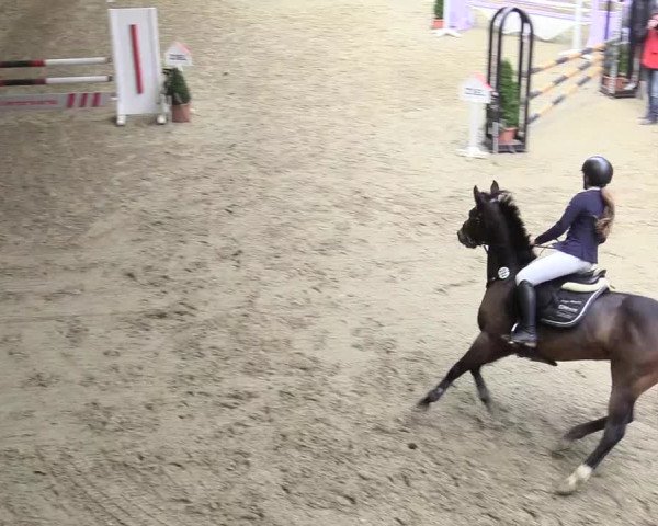 20. Legdener Ponymeeting 2017