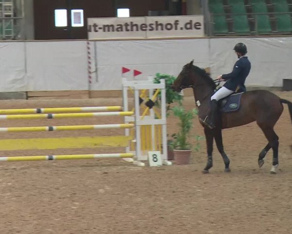 Reitturnier Kreuth 2017