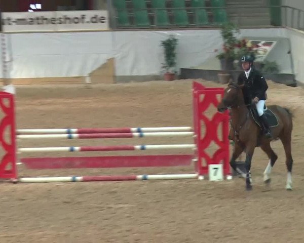 Reitturnier Kreuth 2017