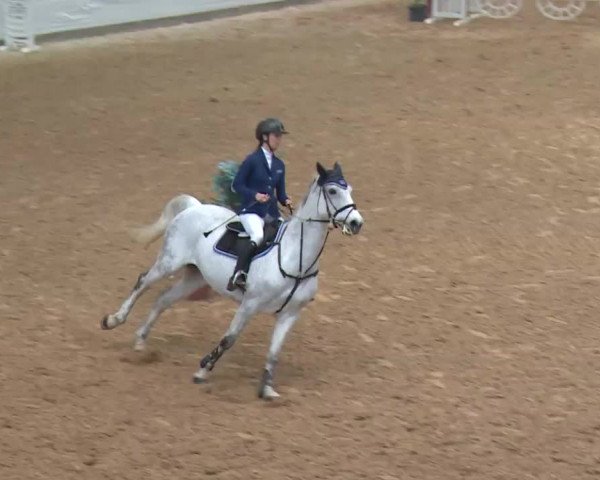 Reitturnier Kreuth 2017