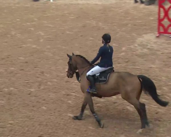Reitturnier Kreuth 2017