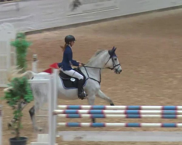 Reitturnier Kreuth 2017