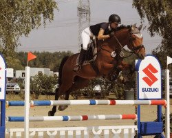 Springpferd Casy (Westfale, 2012, von Casino Berlin OLD)