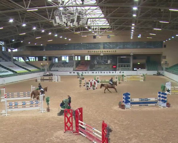 Reitturnier Kreuth 2017