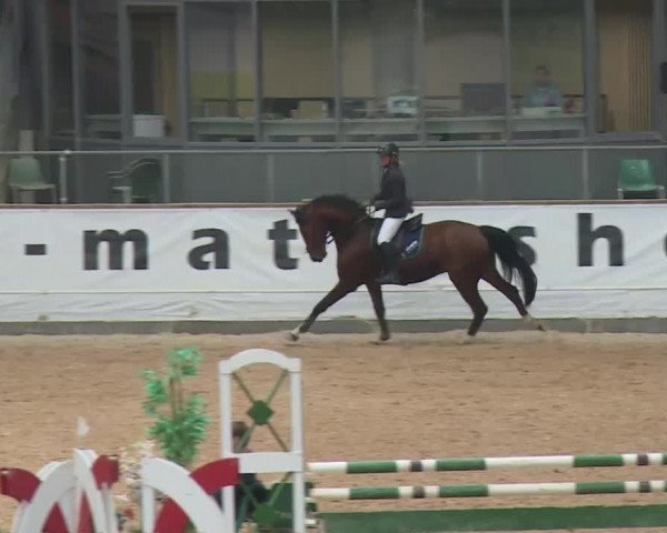 Reitturnier Kreuth 2017