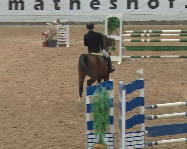 Reitturnier Kreuth 2017