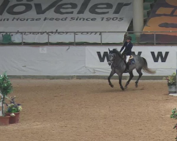 Reitturnier Kreuth 2017