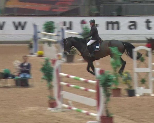 Reitturnier Kreuth 2017