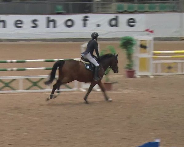 Reitturnier Kreuth 2017