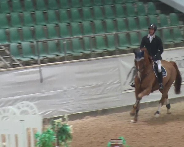 Reitturnier Kreuth 2017