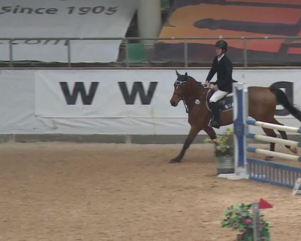 Reitturnier Kreuth 2017