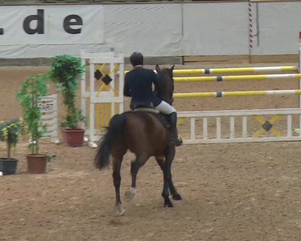 Reitturnier Kreuth 2017