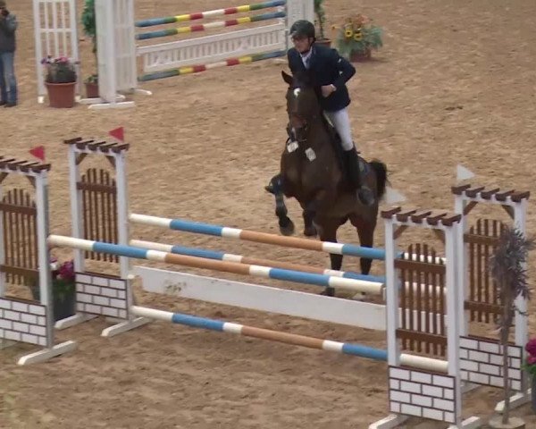 Reitturnier Kreuth 2017