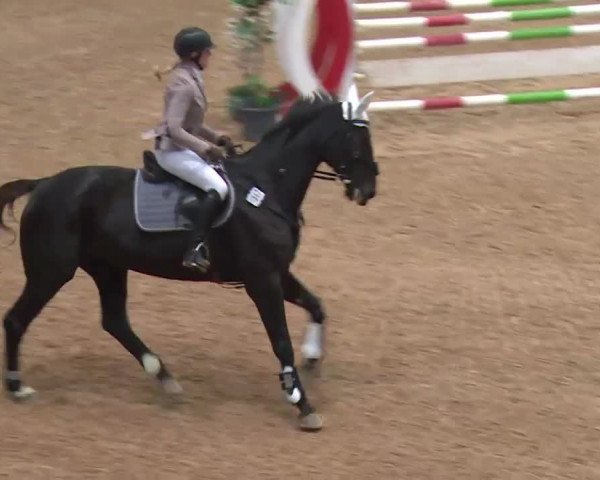 Reitturnier Kreuth 2017