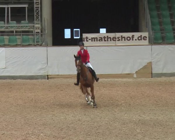 Reitturnier Kreuth 2017