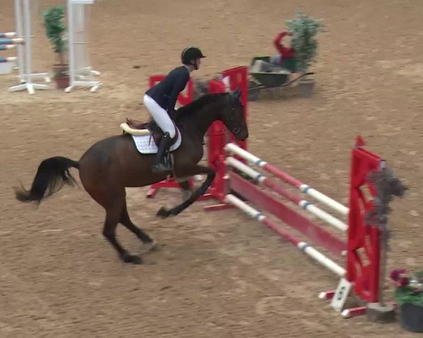 Reitturnier Kreuth 2017