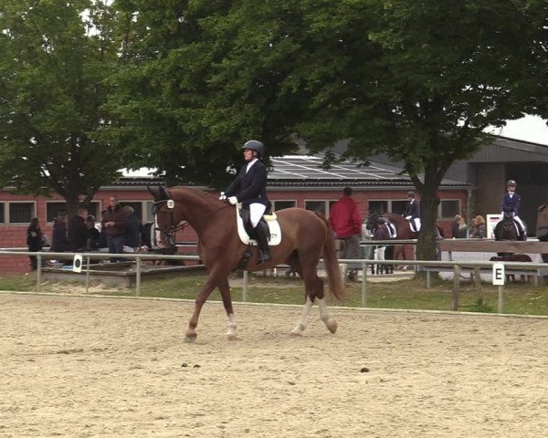 Reitturnier Ascheberg 2021