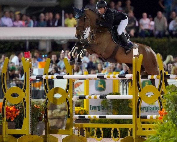 jumper Clenur (Oldenburg show jumper, 2006, from Carinue) jumper Clenur (Oldenburg show jumper, 2006, from Carinue)