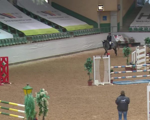 Reitturnier Kreuth 2017