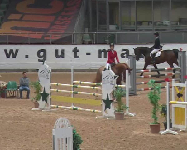 Reitturnier Kreuth 2017