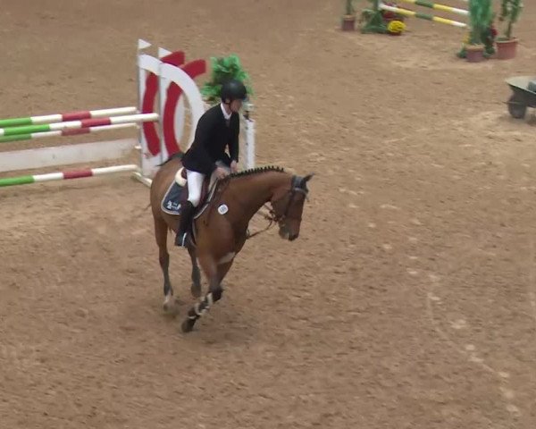 Reitturnier Kreuth 2017