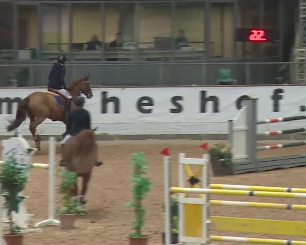 Reitturnier Kreuth 2017