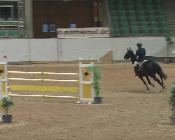Reitturnier Kreuth 2017