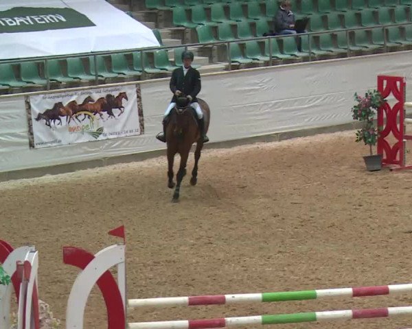 Reitturnier Kreuth 2017