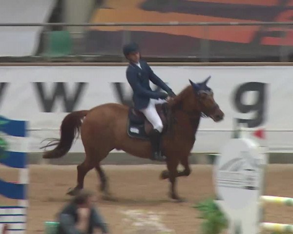 Reitturnier Kreuth 2017