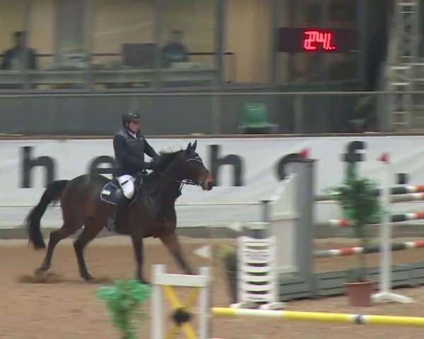 Reitturnier Kreuth 2017