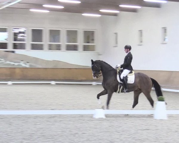 Reitturnier Freudenberg 2017