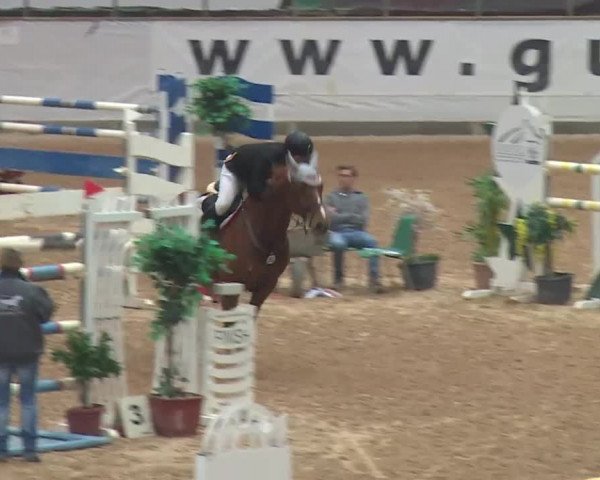 Reitturnier Kreuth 2017