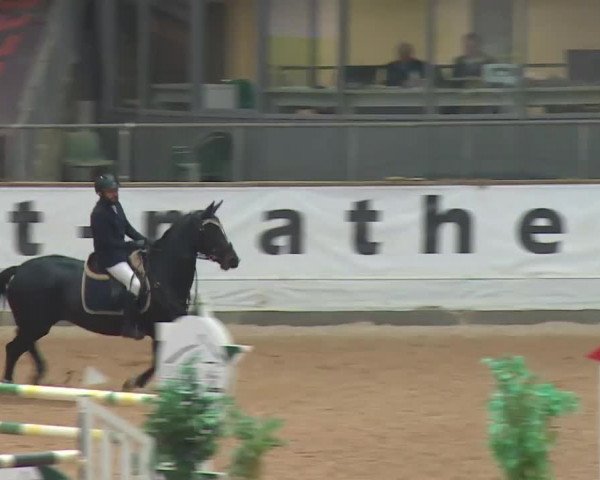Reitturnier Kreuth 2017