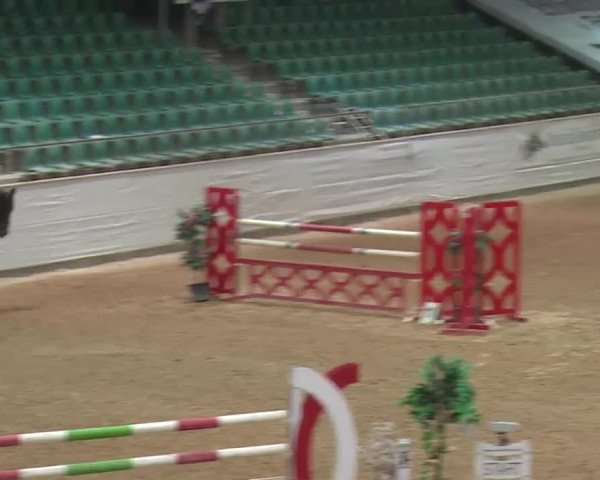 Reitturnier Kreuth 2017