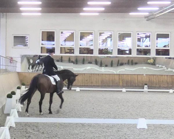 Reitturnier Freudenberg 2017