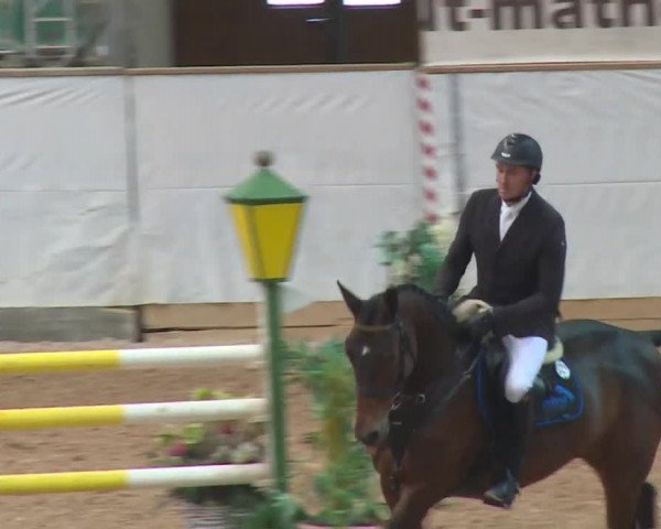 Reitturnier Kreuth 2017