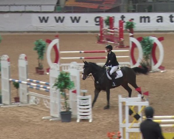 Reitturnier Kreuth 2017
