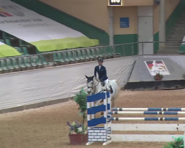 Reitturnier Kreuth 2017