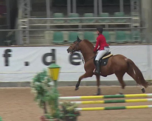 Reitturnier Kreuth 2017