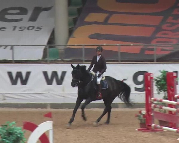 Reitturnier Kreuth 2017