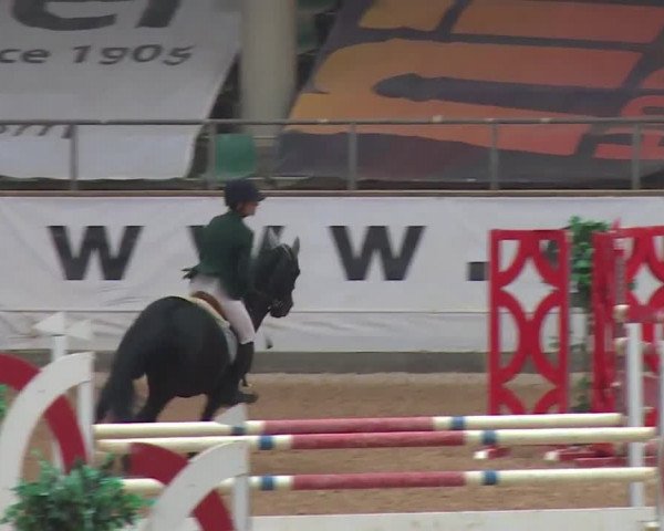 Reitturnier Kreuth 2017