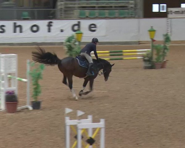 Reitturnier Kreuth 2017