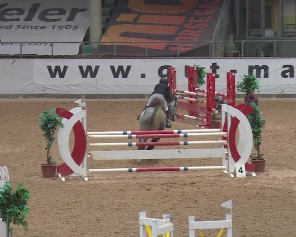 Reitturnier Kreuth 2017