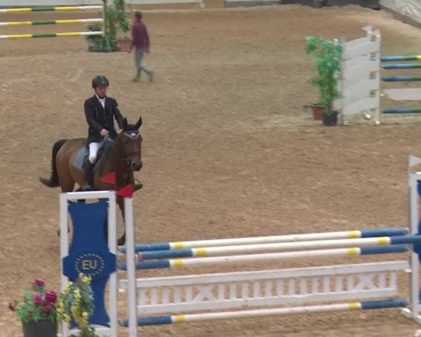Reitturnier Kreuth 2017