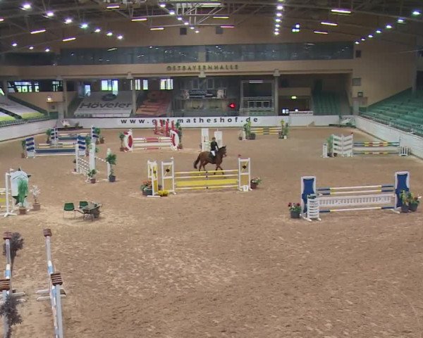 Reitturnier Kreuth 2017