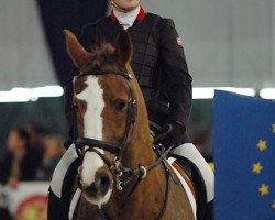 horse Tågerups Bauchalan (unknown,  )